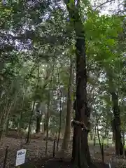 積田神社(三重県)