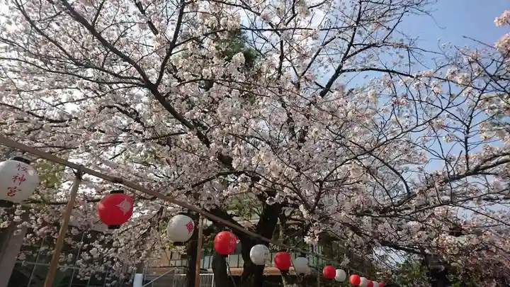 桜神宮の自然