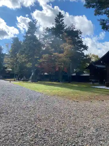 上川神社の景色