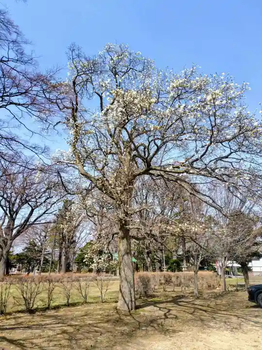 厚別神社(北海道)