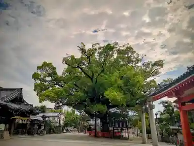 百舌鳥八幡宮(大阪府)