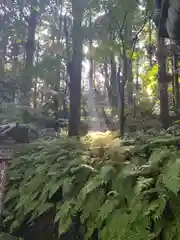 香取神宮(千葉県)