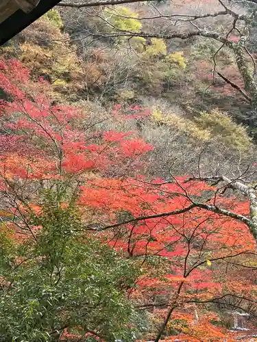 貴船神社の自然