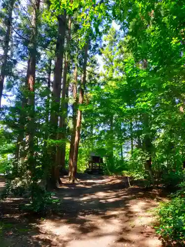 總宮神社の自然