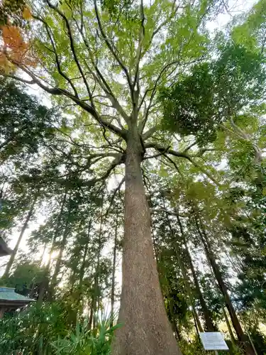 天神神社(滋賀県)