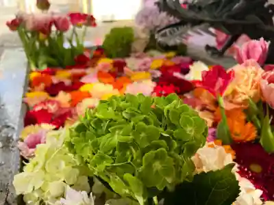 札幌諏訪神社の手水舎