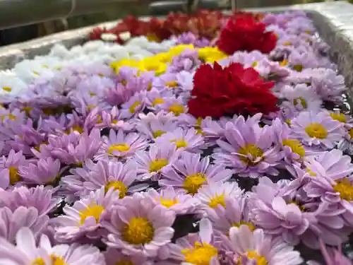 横浜御嶽神社の手水舎