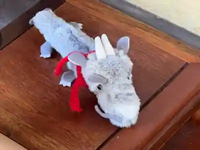 雲龍院(京都府)