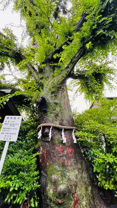 前川神社(埼玉県)