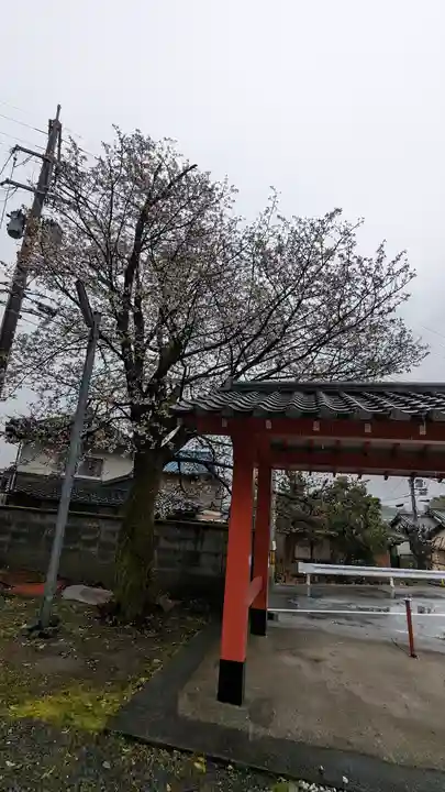 樫本神社(大原野神社境外摂社)(京都府)