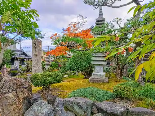 大徳寺の庭園