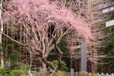 函館八幡宮(北海道)