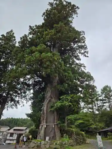 戸隠神社中社(長野県)