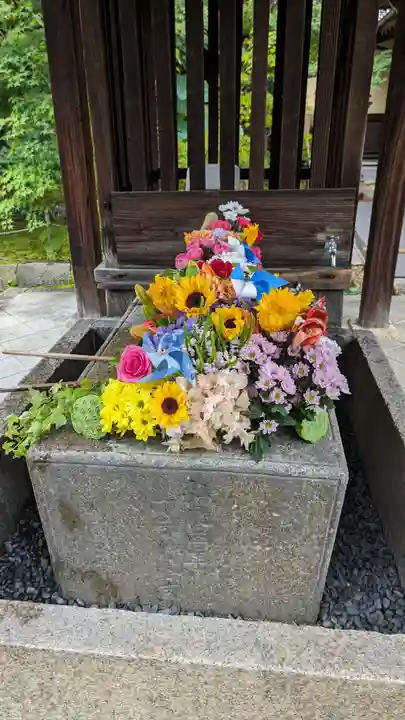 勝林寺(京都府)