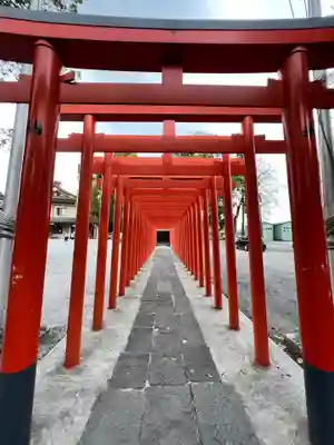 箭弓稲荷神社の鳥居