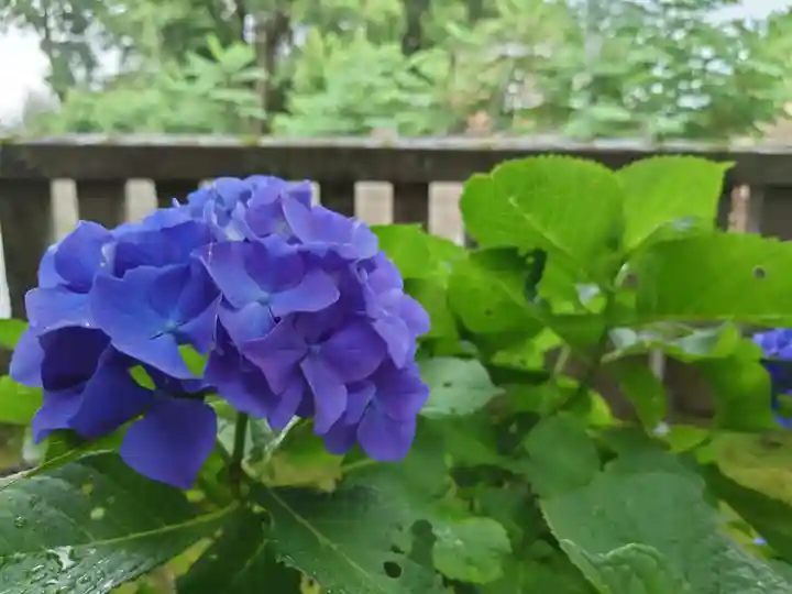 今宮神社 十二支社(栃木県)