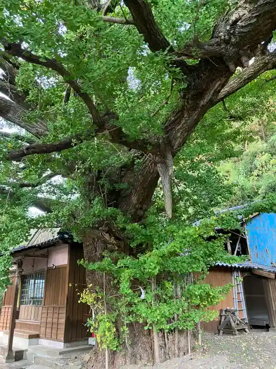 六御前神社(長崎県)