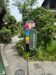 興徳寺の建物その他