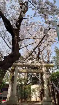 上目黒氷川神社の鳥居