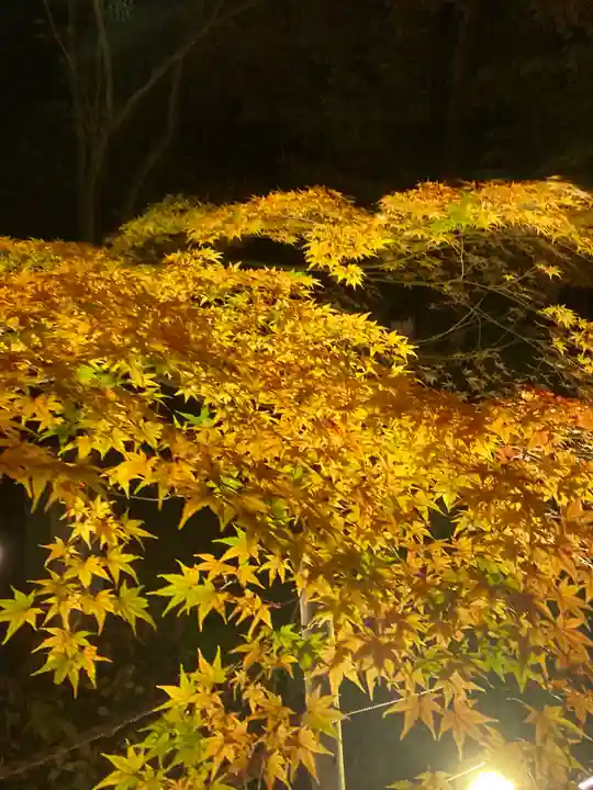 知恩院(京都府)