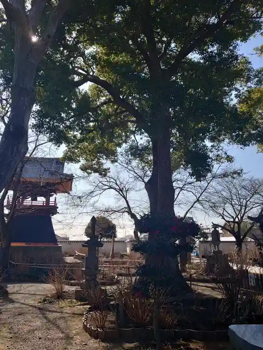 能護寺のその他建物