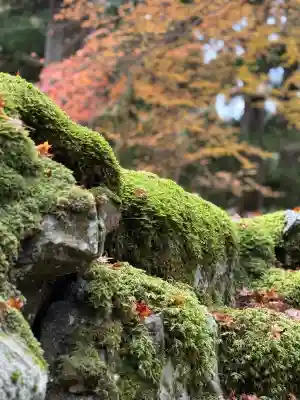永平寺(福井県)