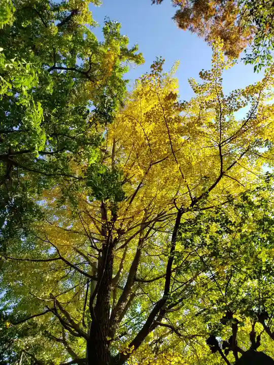 大宮前春日神社の庭園