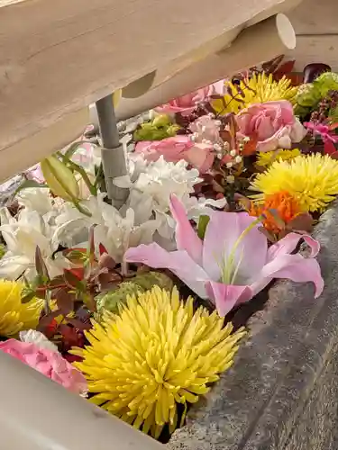 鳩森八幡神社(東京都)