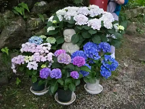 岡寺（龍蓋寺）(奈良県)