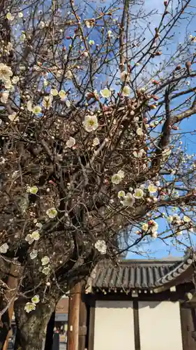 興正寺(京都府)
