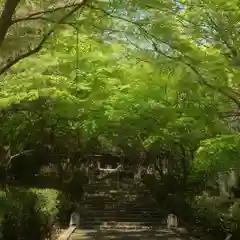 篠ｹ谷神社の建物その他