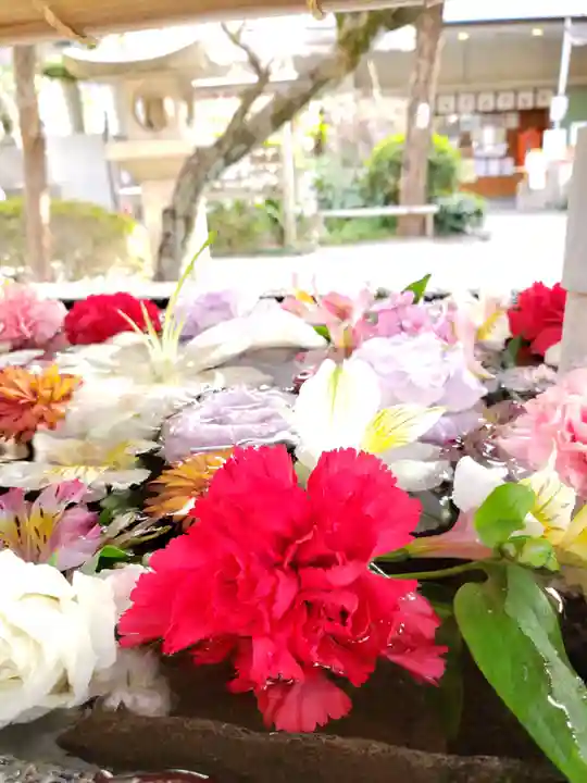 鳩森八幡神社の手水舎