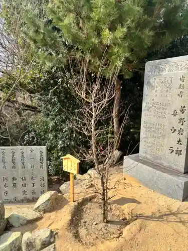 勝岡八幡神社(愛媛県)