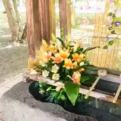 彌彦神社　(伊夜日子神社)(北海道)