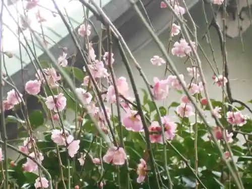荏柄天神社の自然