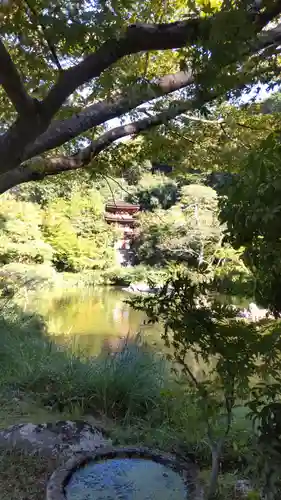 浄瑠璃寺(京都府)