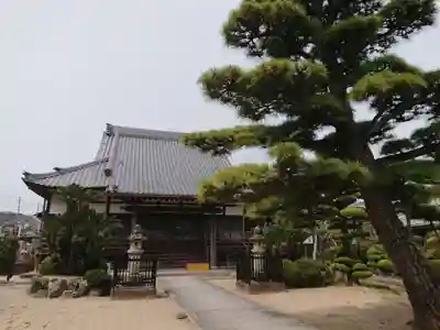 専称寺の本殿・本堂