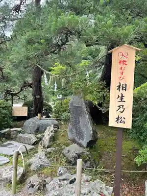 宝登山神社(埼玉県)