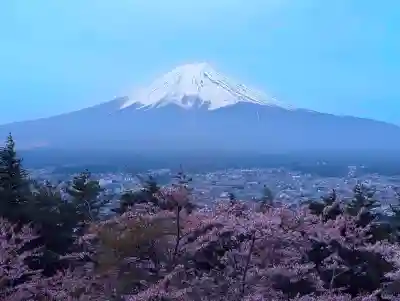 新倉富士浅間神社(山梨県)