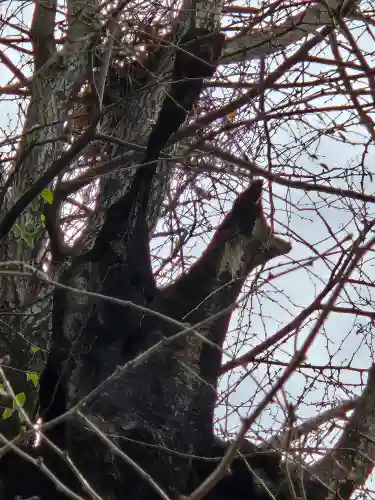飛木稲荷神社(東京都)
