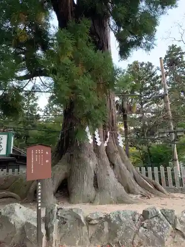筑波山神社の自然