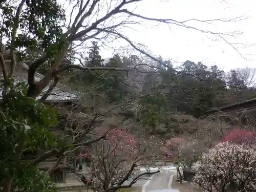 妙本寺の庭園