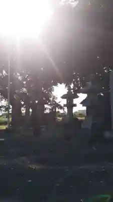 日枝神社の景色