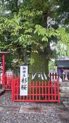 本宮神社(高知県)