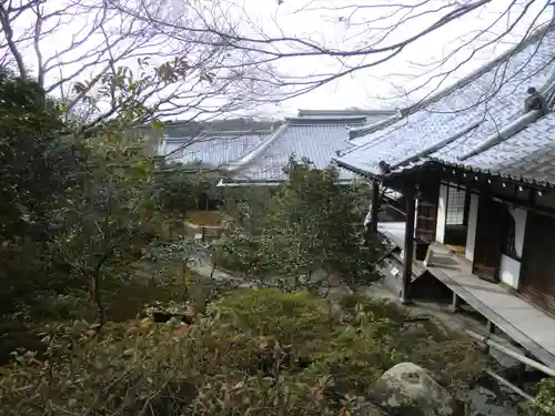 霊鑑寺門跡(京都府)