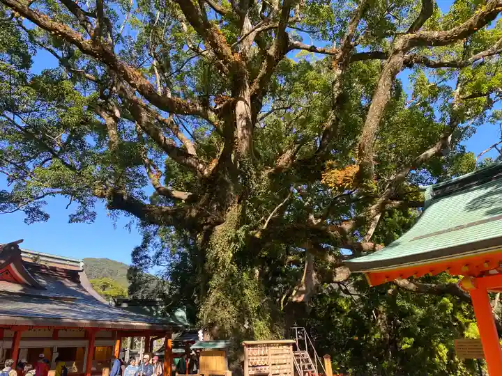 熊野那智大社(和歌山県)