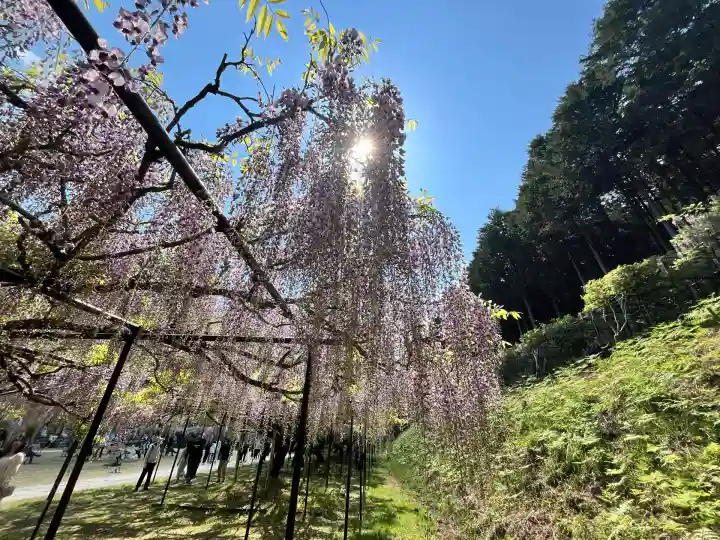 天台宗 五大山 白毫寺(兵庫県)