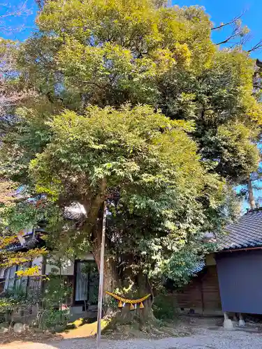 道神社(富山県)
