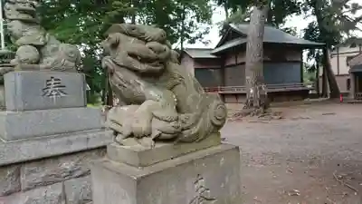 下高井戸八幡神社の狛犬