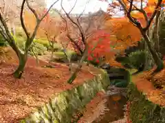 東福禅寺（東福寺）の自然